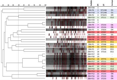 Genomic Characterization of Mutli-Drug Resistant Pseudomonas aeruginosa Clinical Isolates: Evaluation and Determination of Ceftolozane/Tazobactam Activity and Resistance Mechanisms